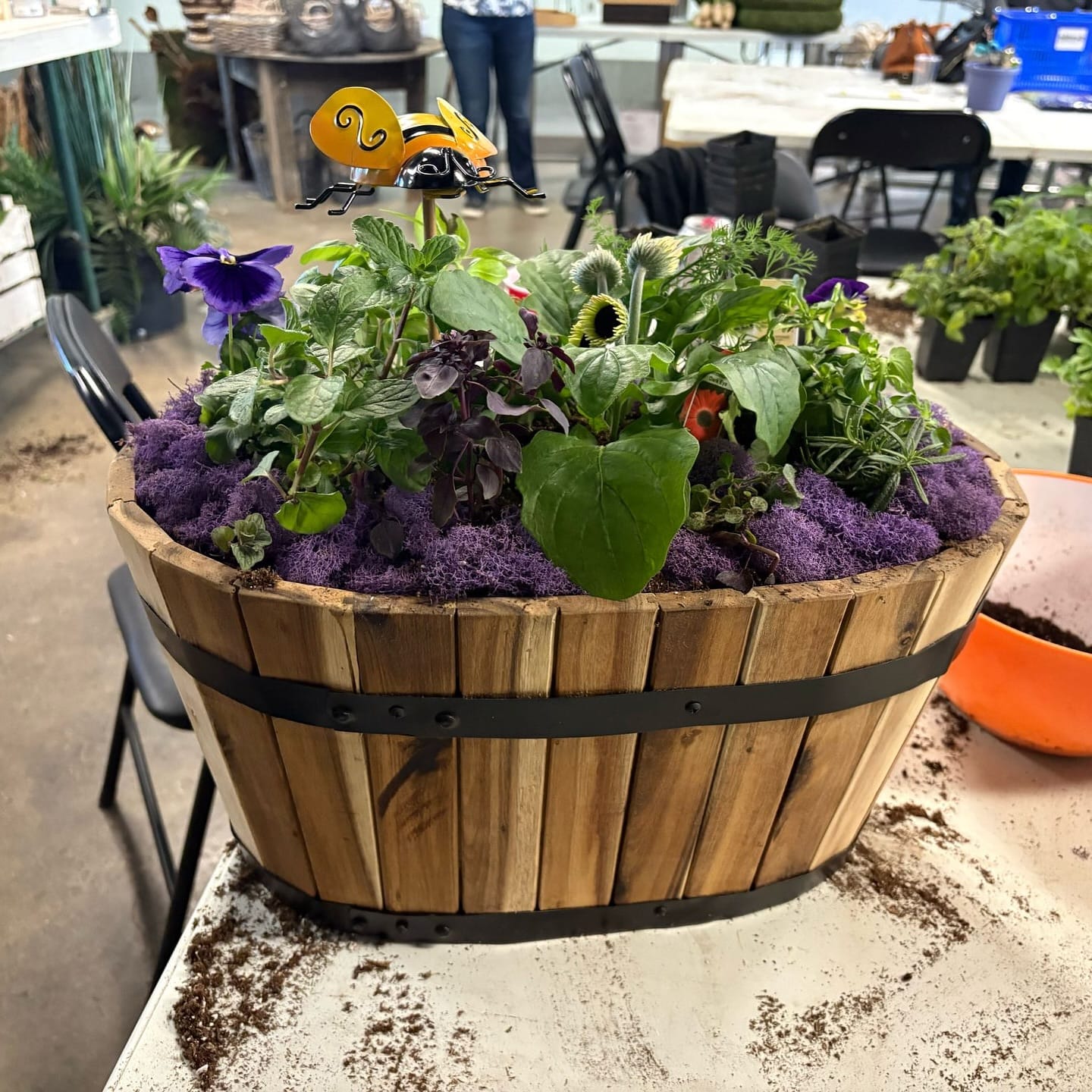 zen-like colander herb arrangement