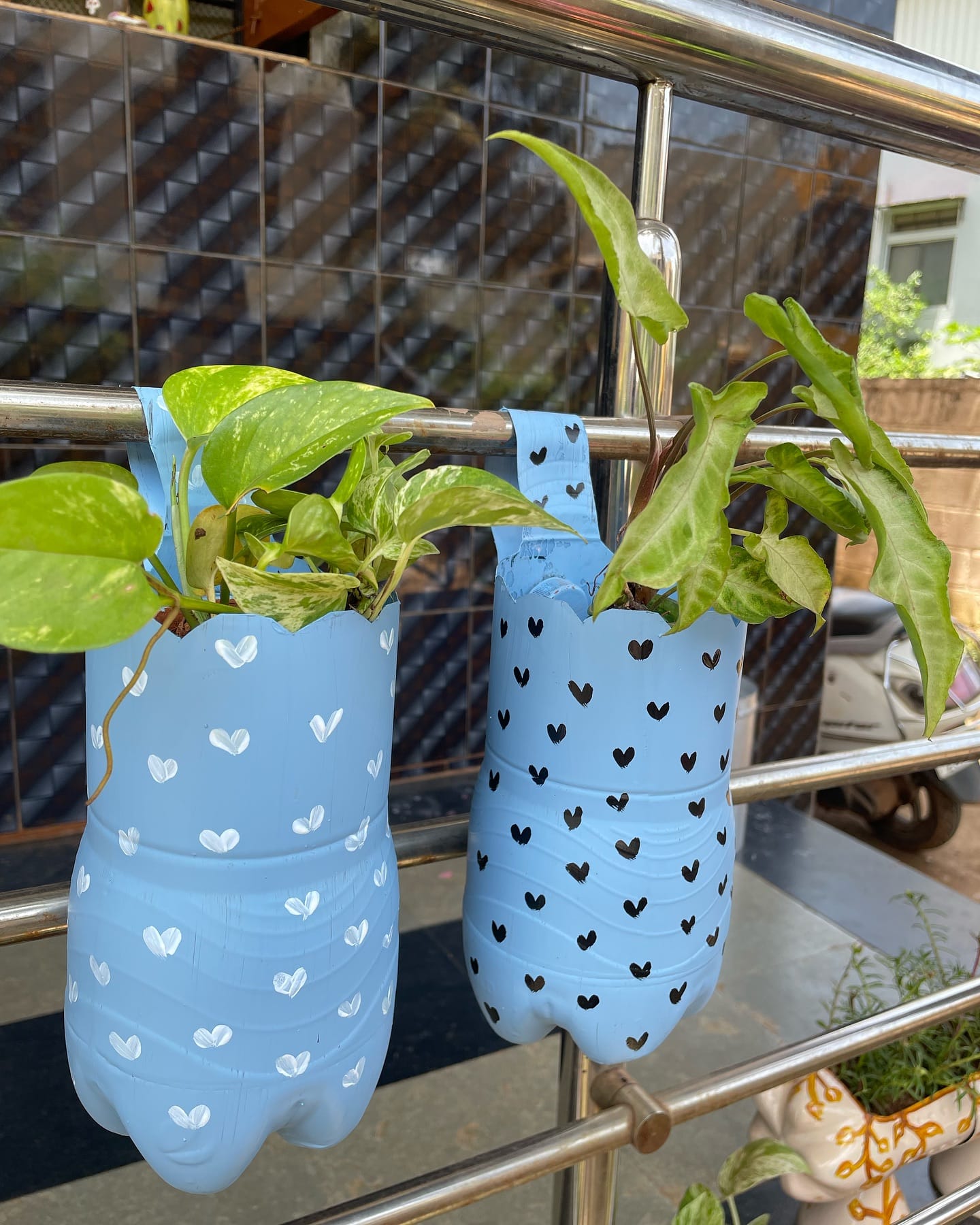 hanging plastic bottle planters with flowers