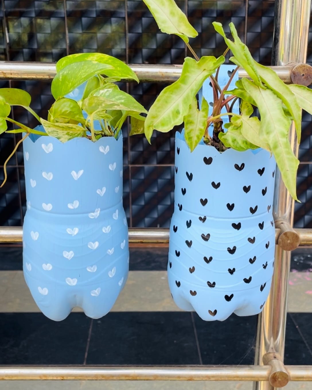 colorful tin can with trailing vines