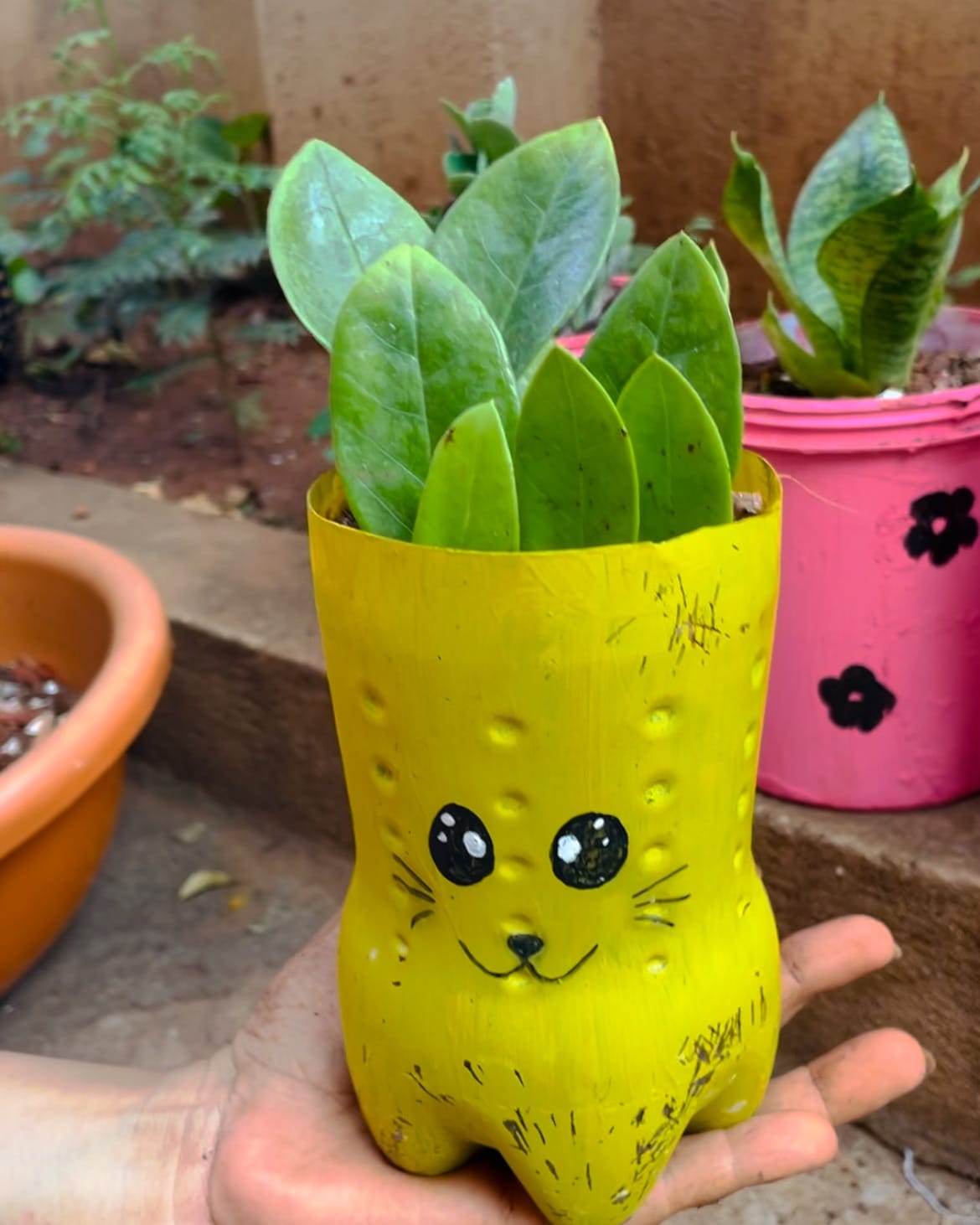recycled plastic bottle garden with herbs