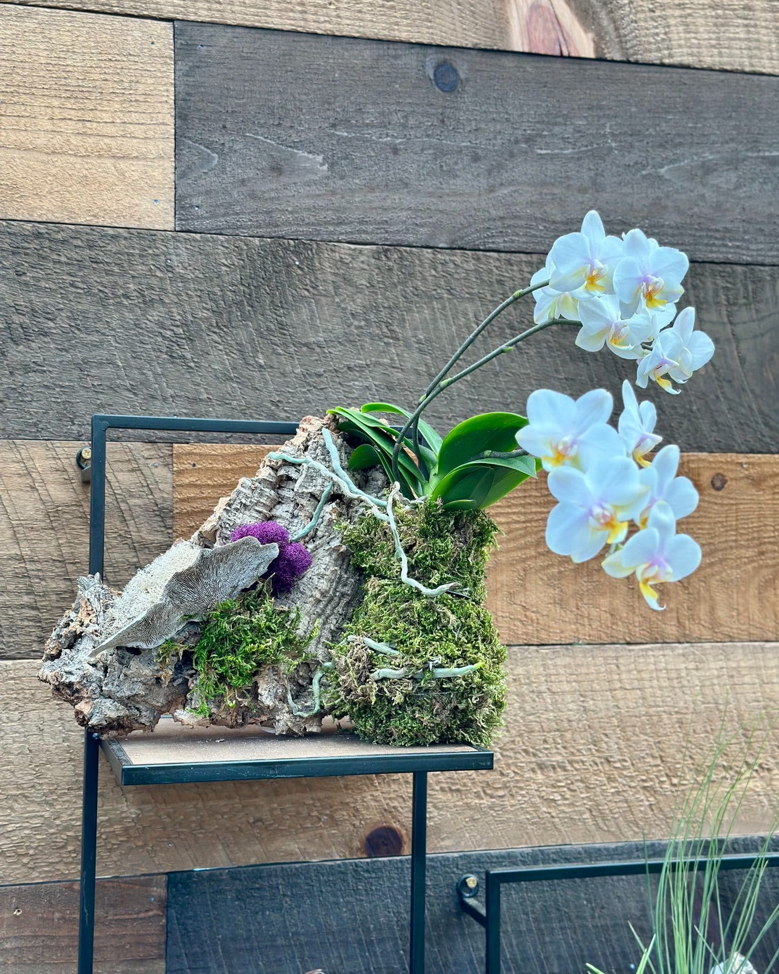 outdoor patio with cork bark planters