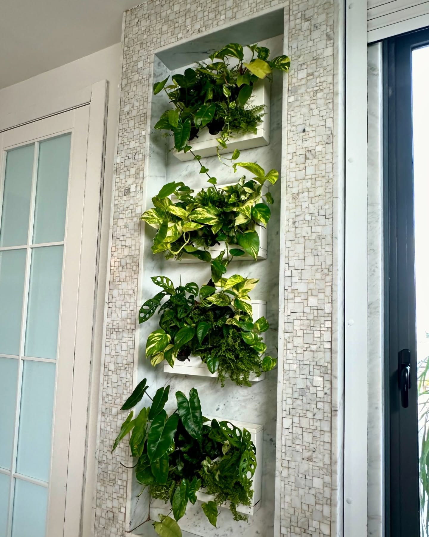vibrant edible plant installation in garden