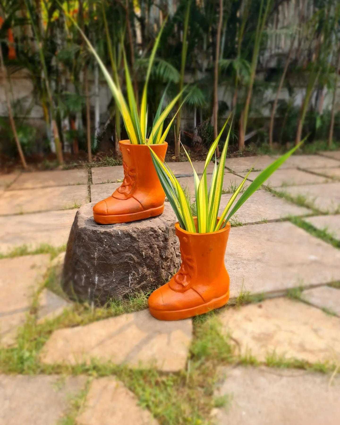 blooming flowers in worn leather boots
