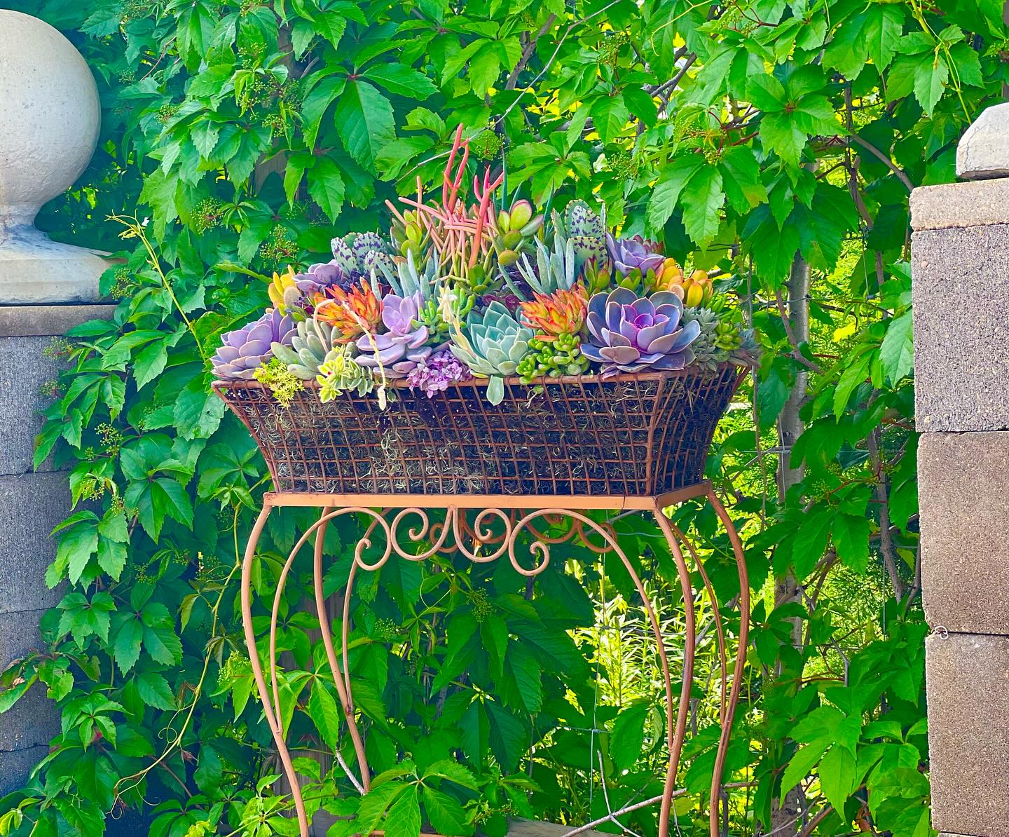 sharing garden on social media