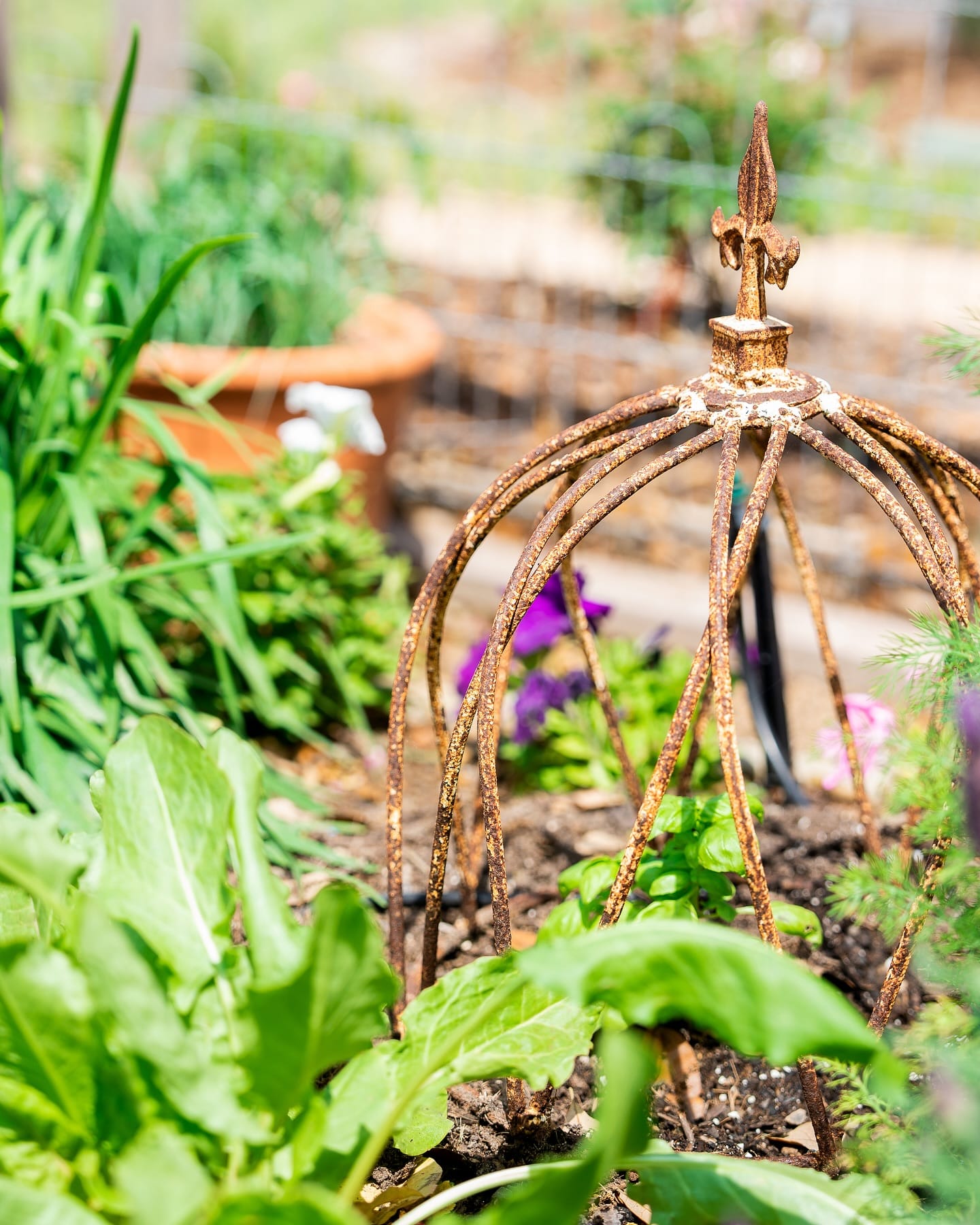 watering can beside birdcage