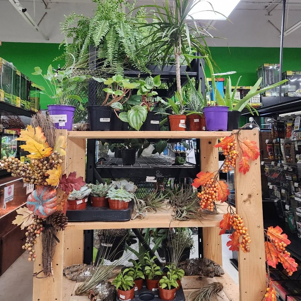 hutch with animal-shaped planters