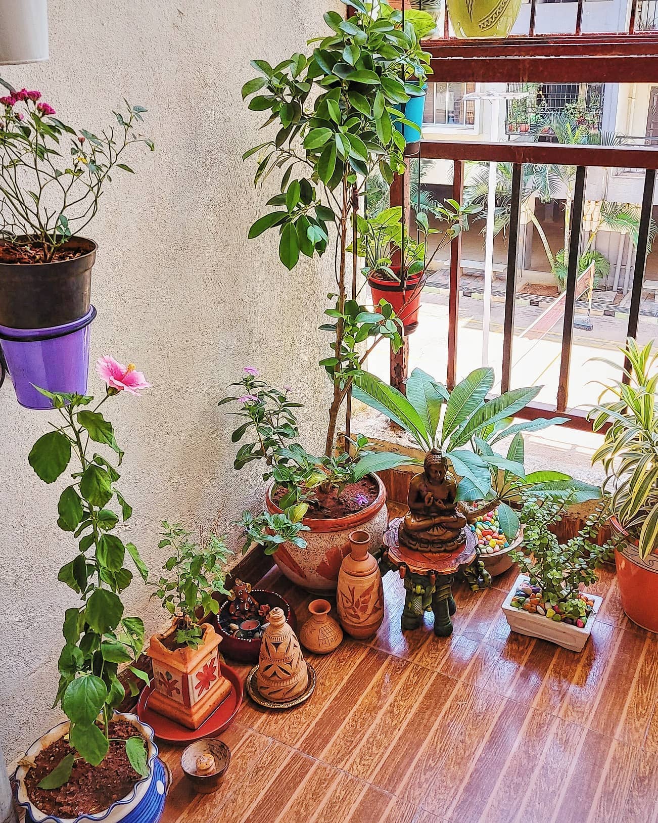 bamboo plants with pebbles