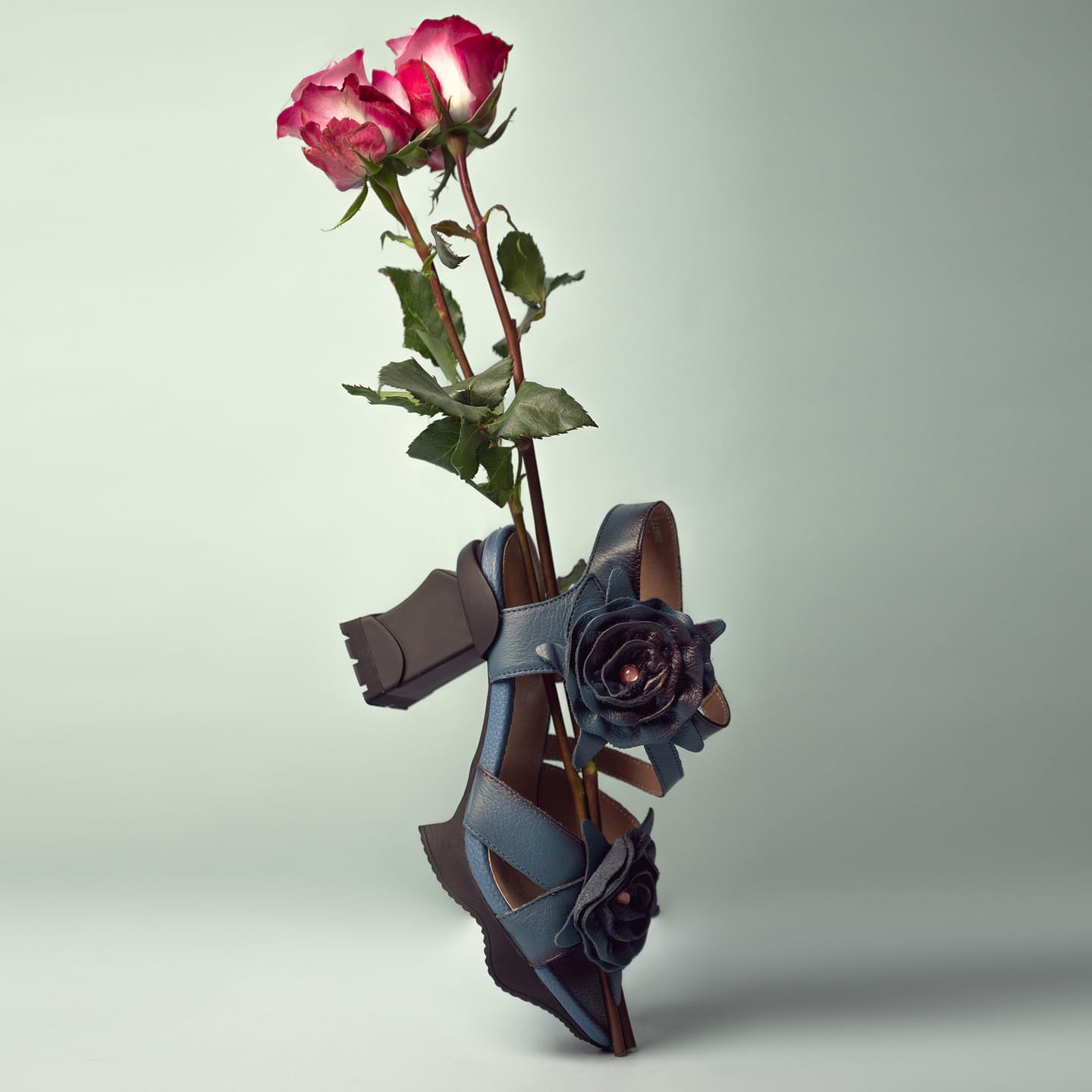 minimalist wooden shoe plant holder in bright room