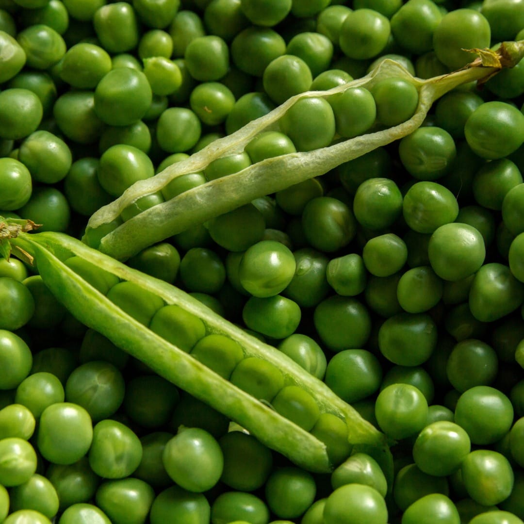 pea pods on vine