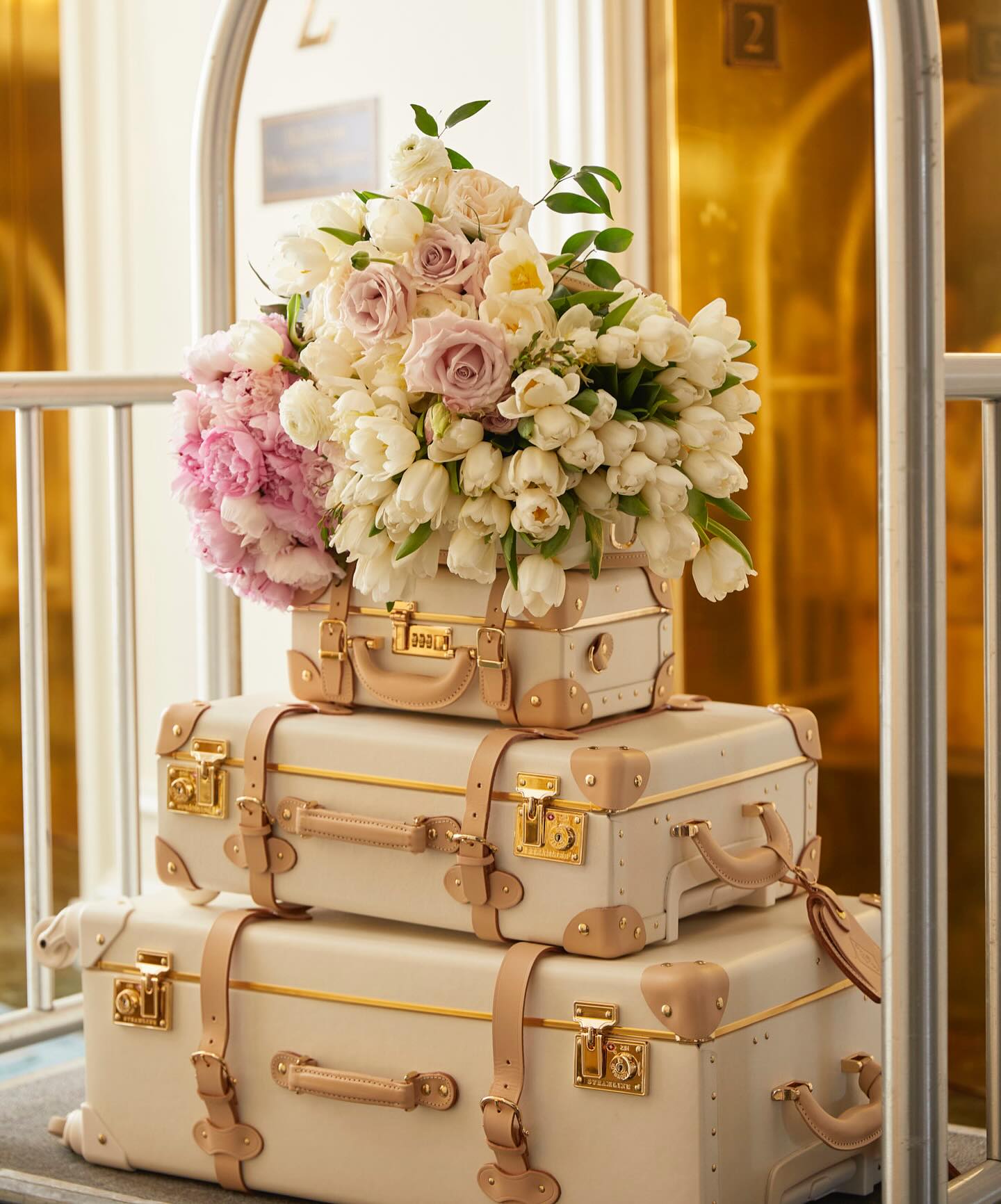 antique suitcase with succulents