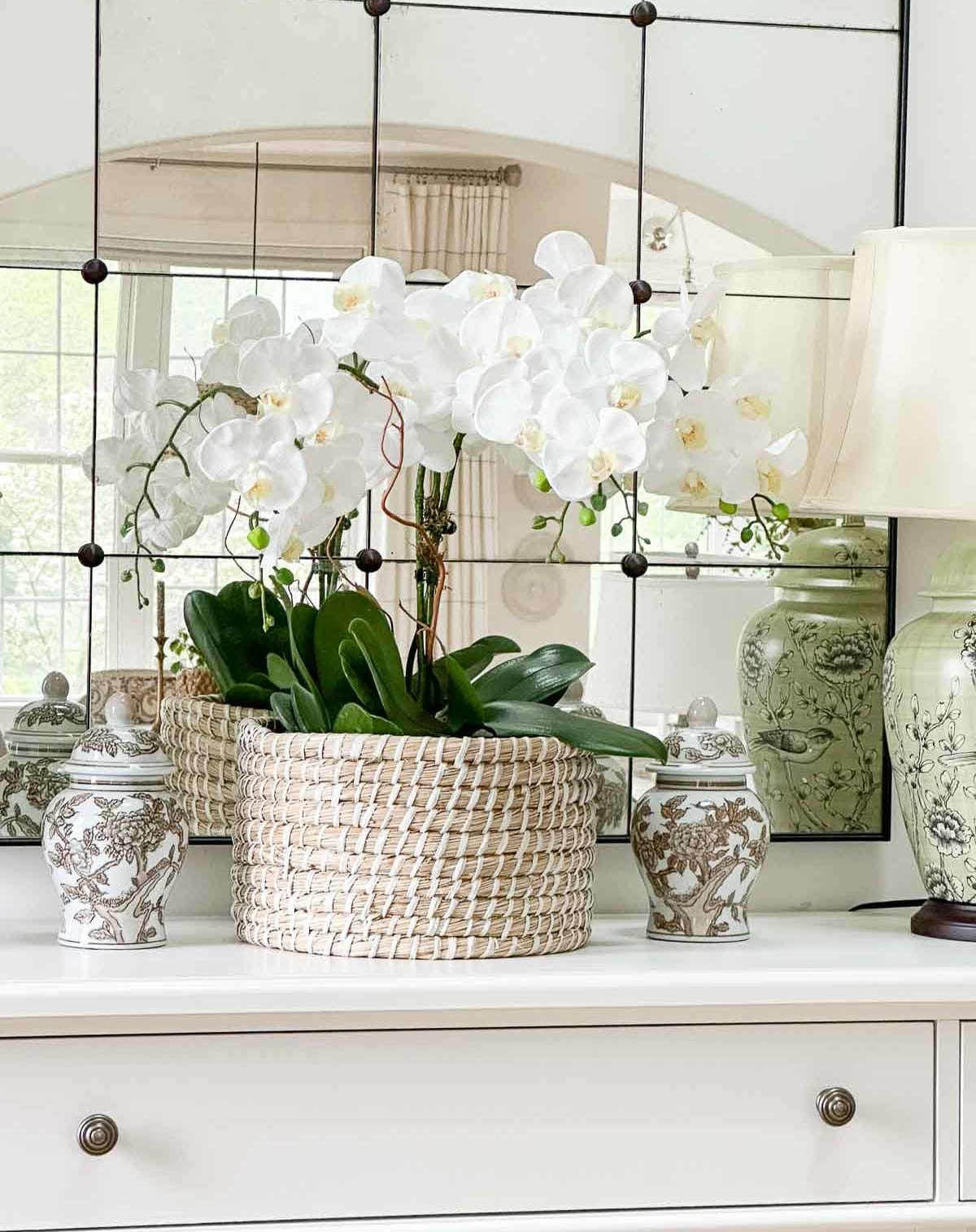 blooming orchid on vanity