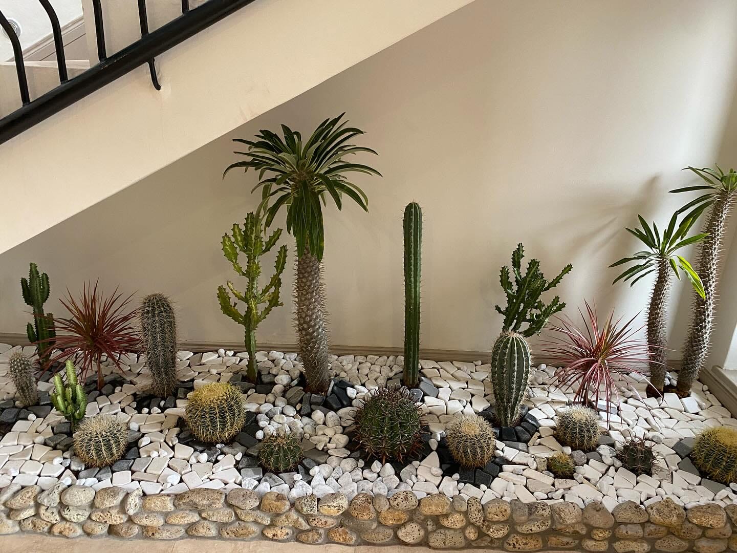succulent fertilizer bottle