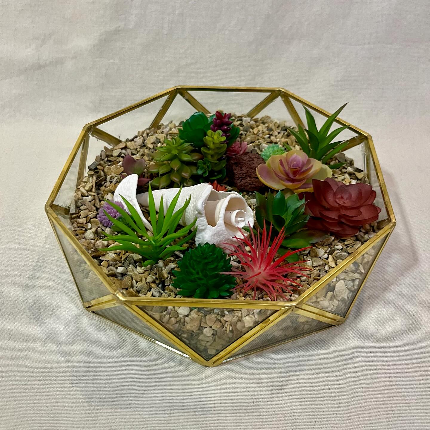 variety of decorative seashells