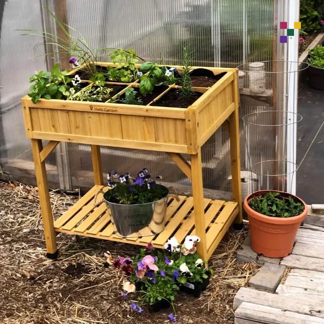 wooden crate with fresh herbs