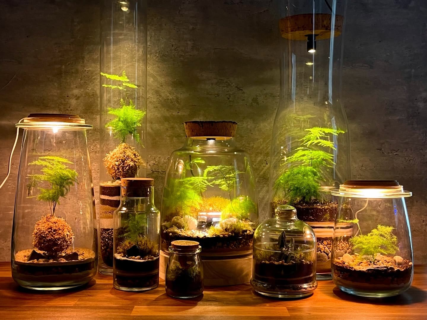 terrarium pendant light with greenery