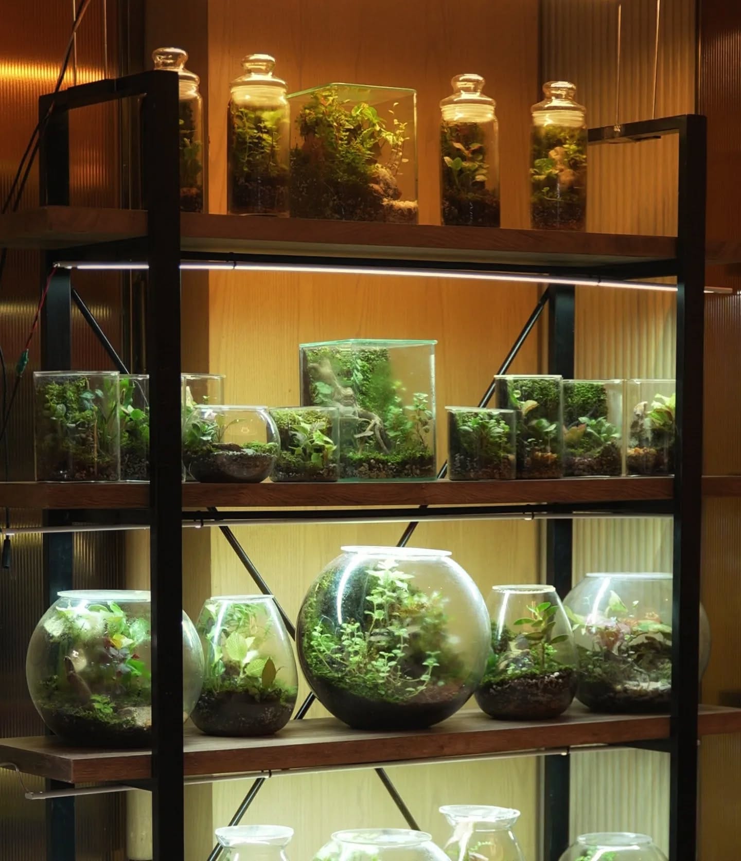 autumn-themed terrarium