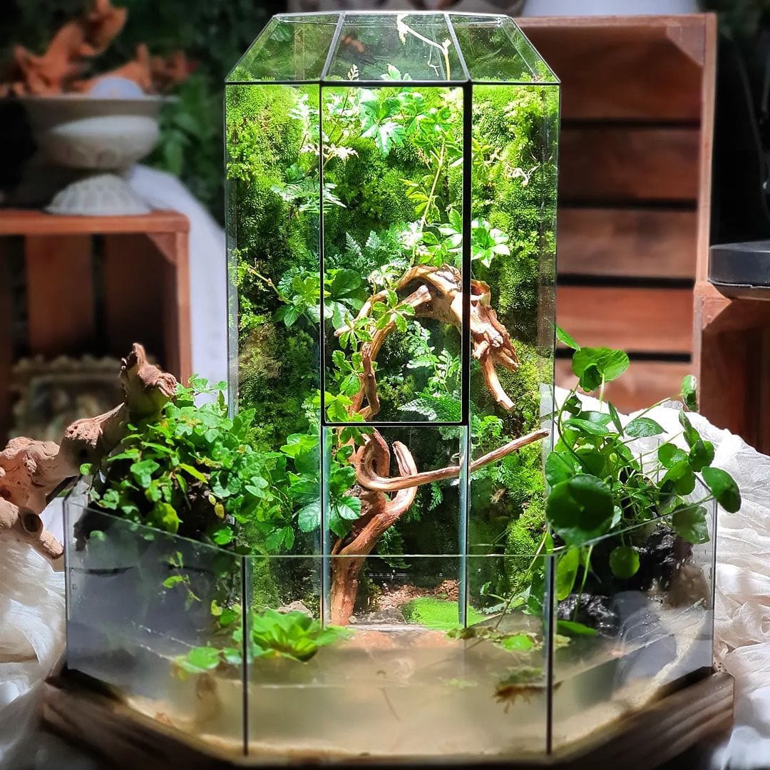 tiny water fountain in terrarium