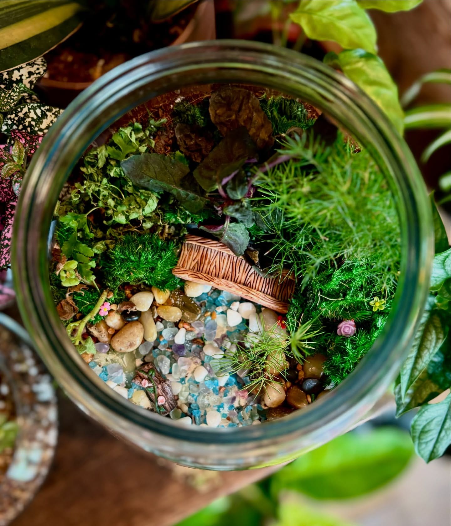 glass terrarium with herbs