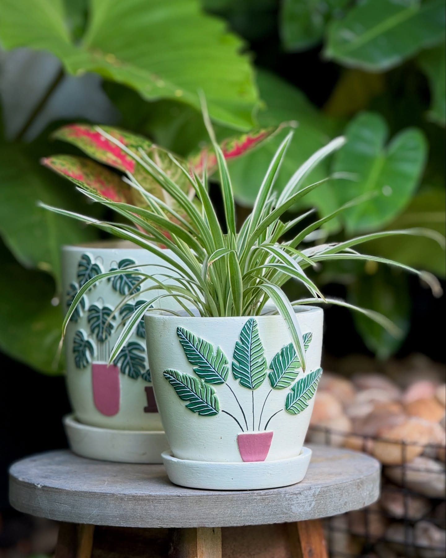 plant cuttings in decorated terracotta pots