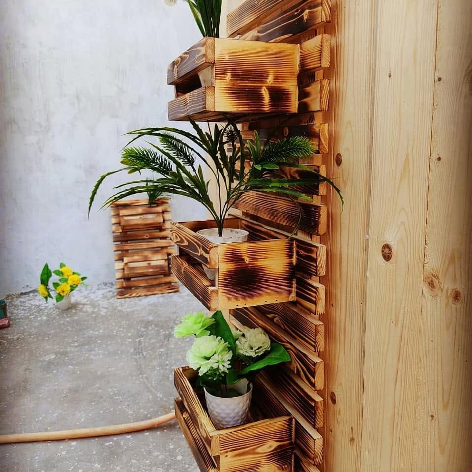 herbs growing on vertical wooden pallet