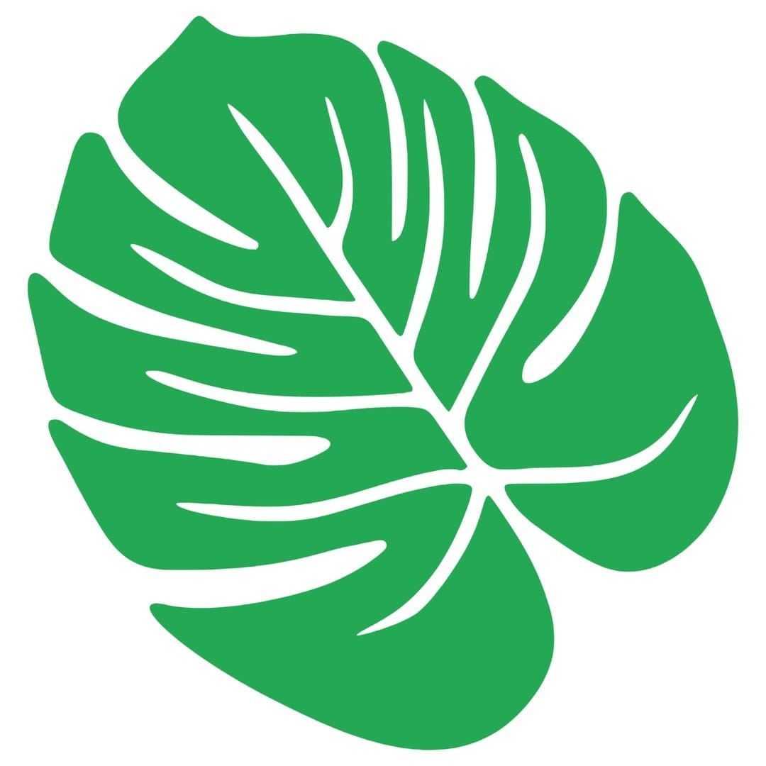window with tropical leaf decals