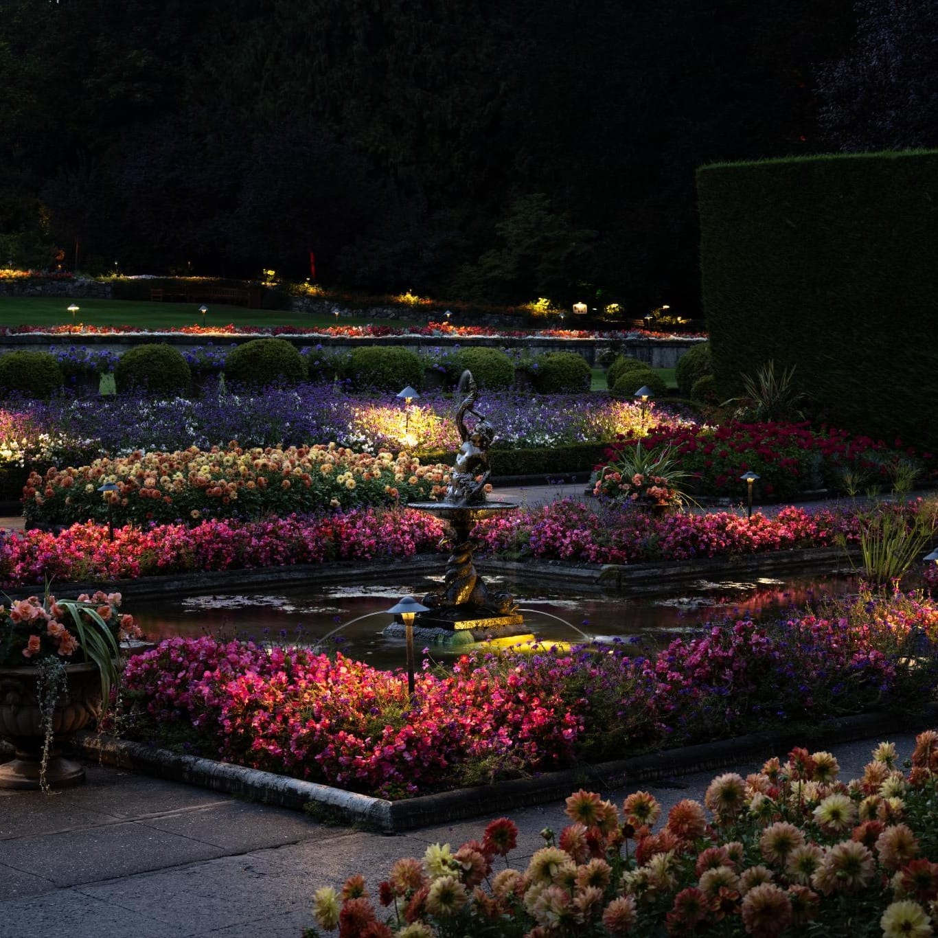 low-level lights in flower bed