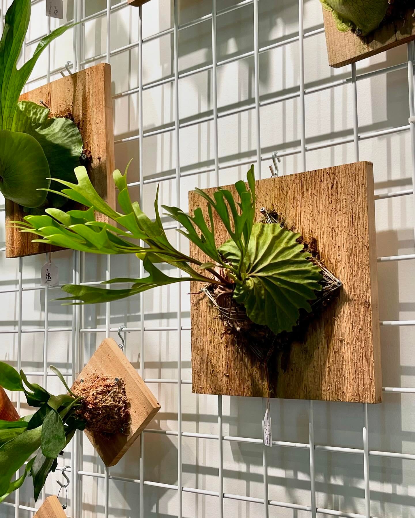 reading nook with reclaimed wood and plants