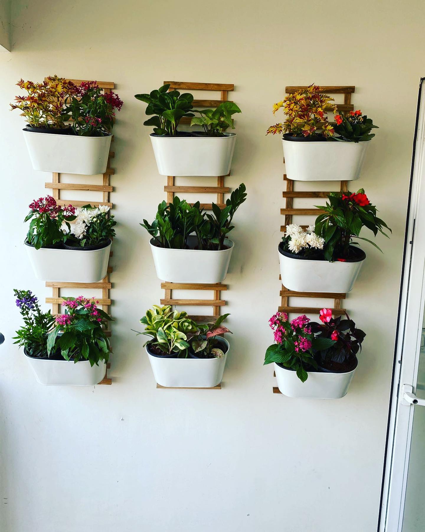 wall-mounted herb garden with fresh herbs