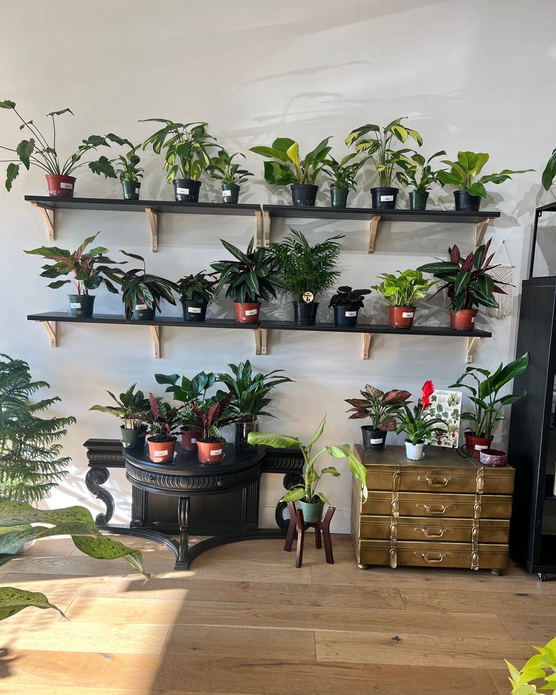 recycled materials drawer planter