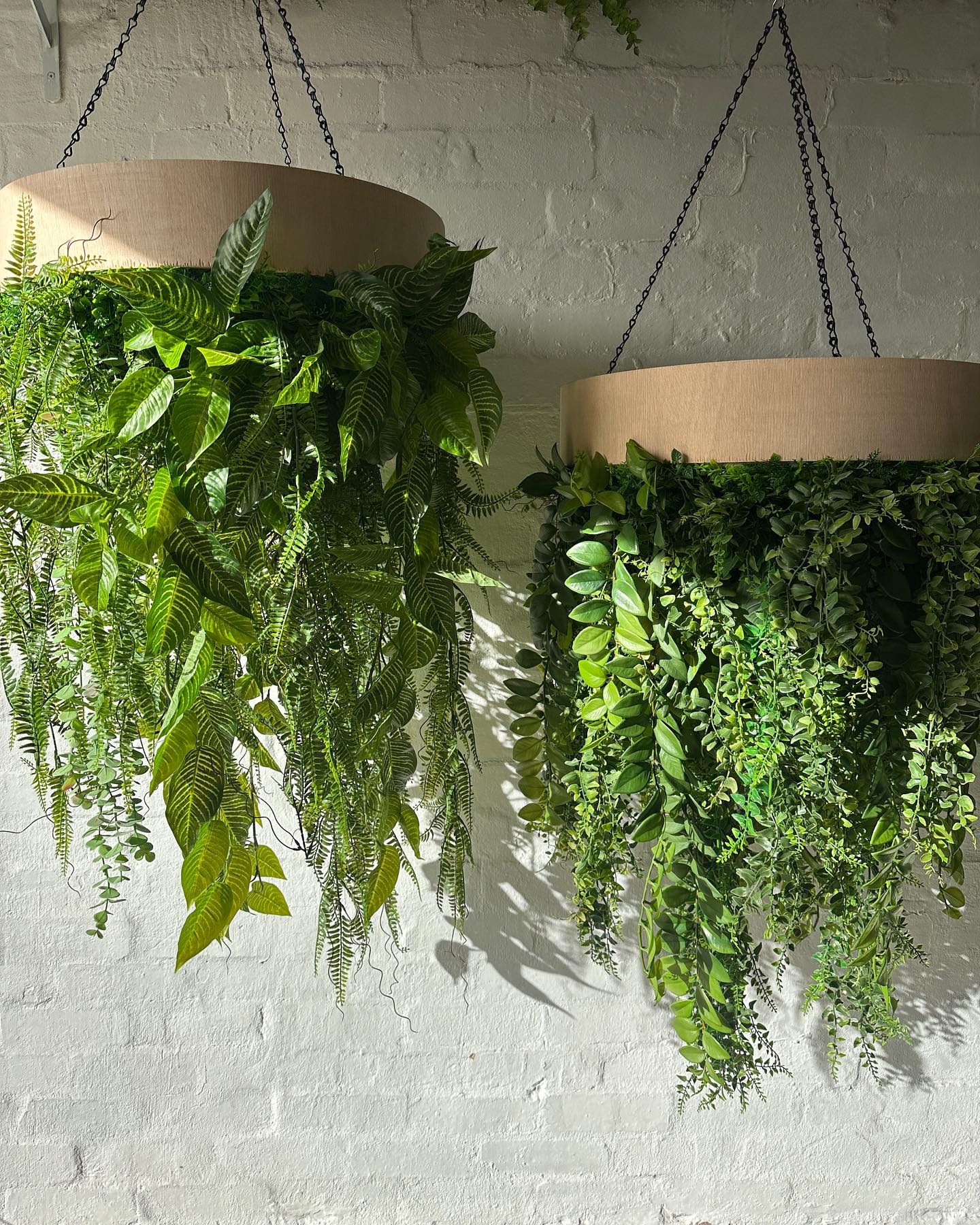 geometric metal chandelier with succulents