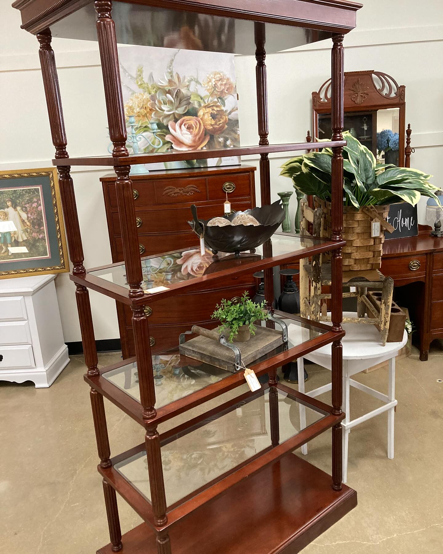 wall-mounted drawer with trailing plants