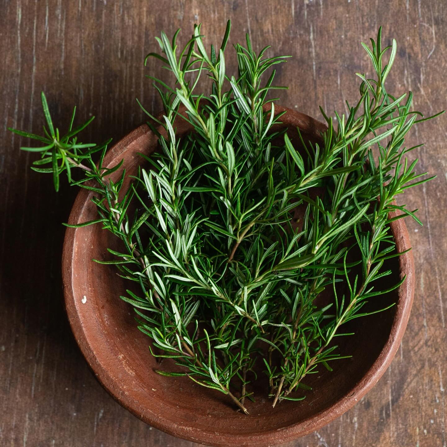rosemary branches in a tin can