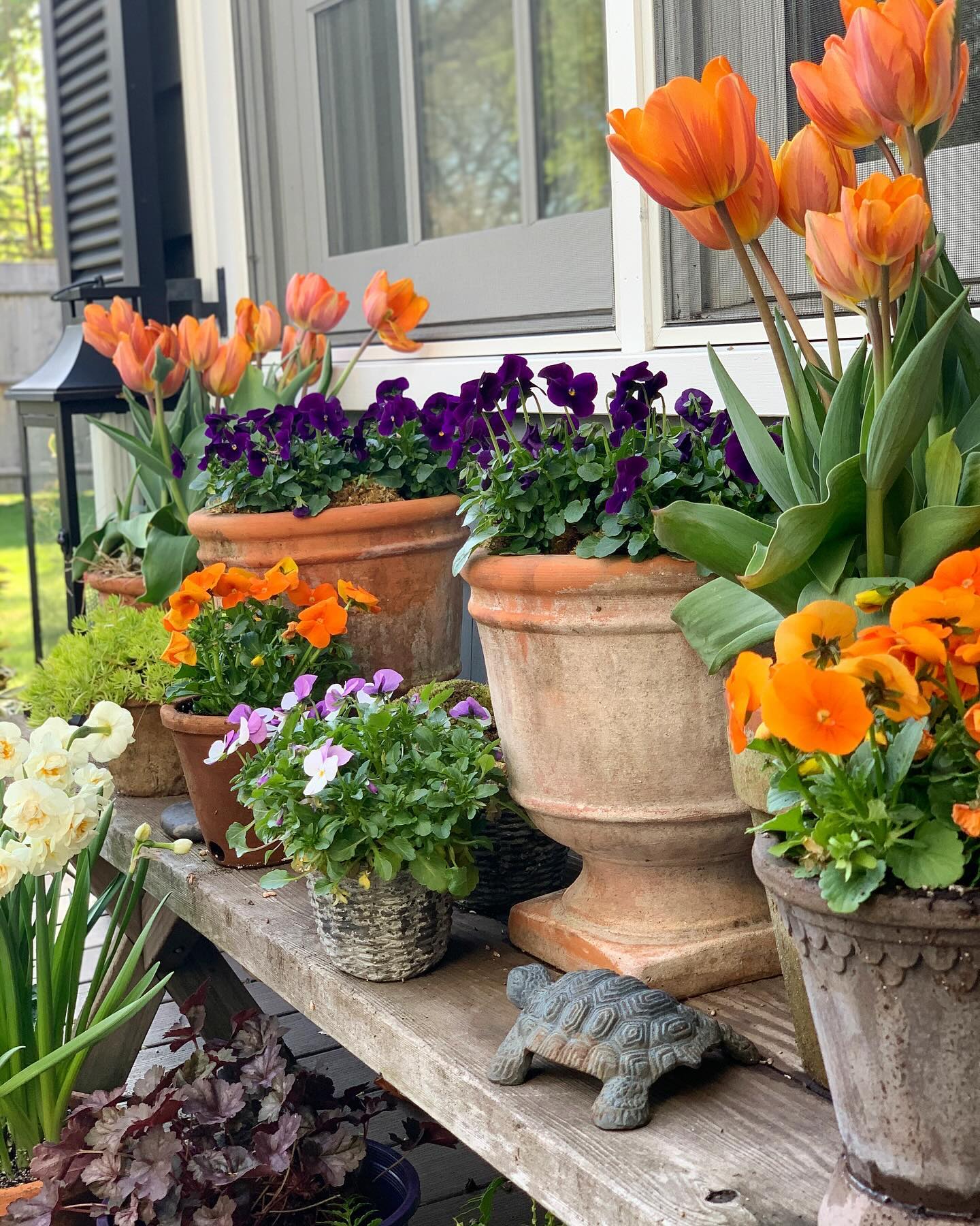 color-coordinated plant pot collection