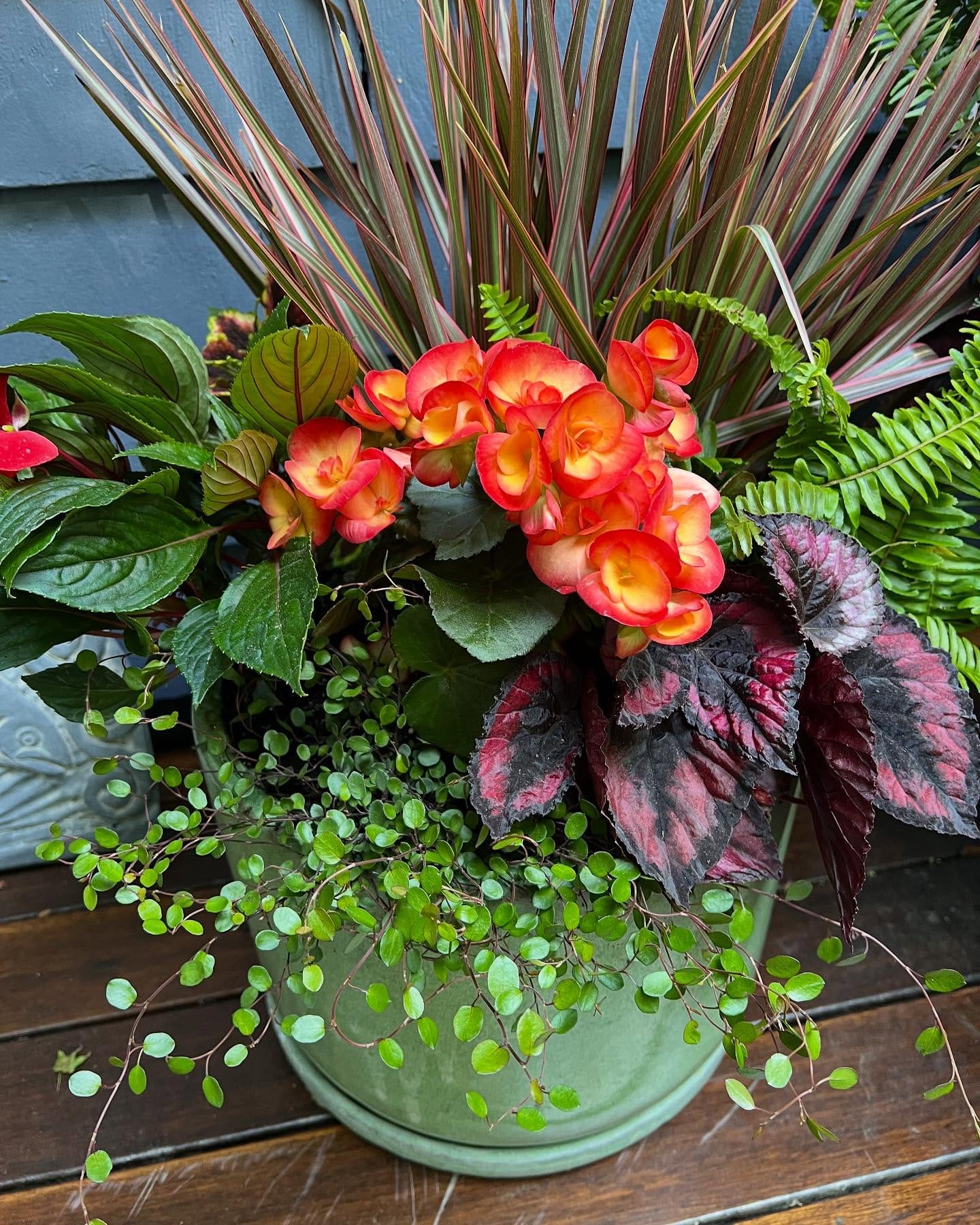 ferns and hostas in shaded fountain