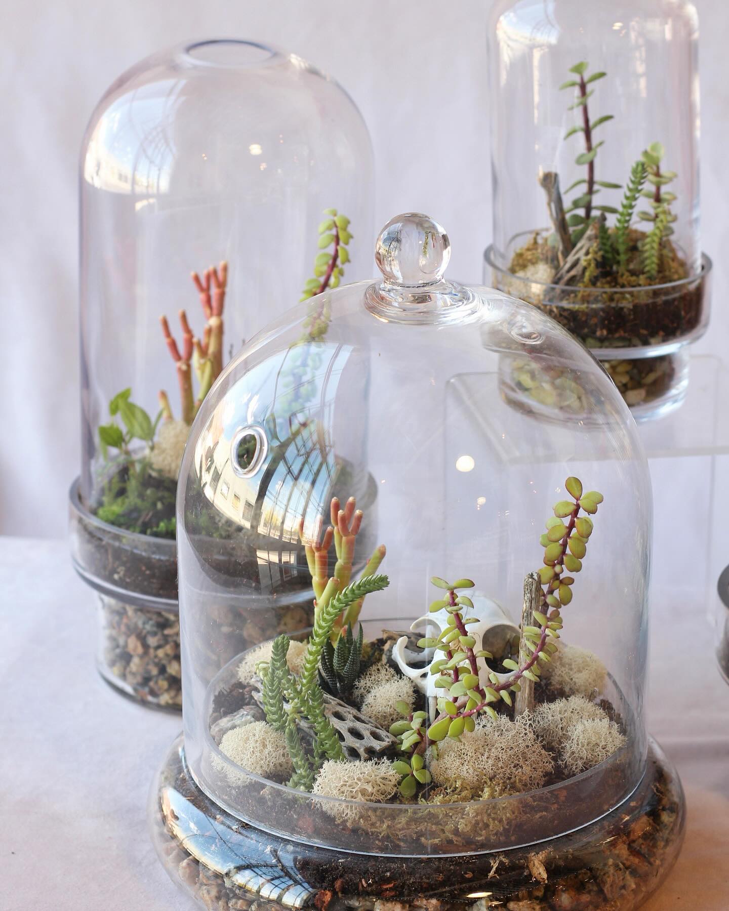 tiny figurines beside terrarium