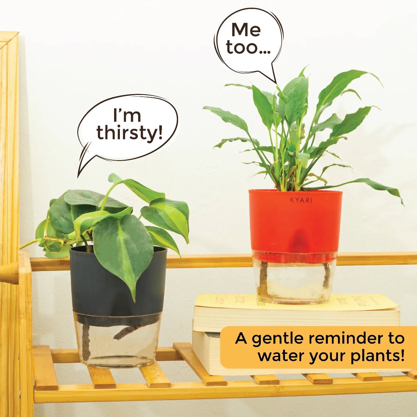 smartphone with watering reminder