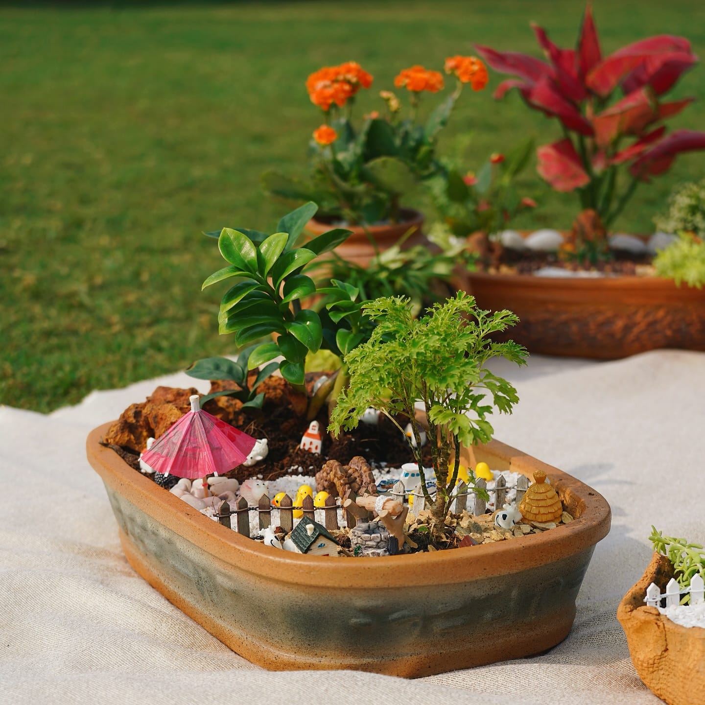 assorted succulents on wooden mantel