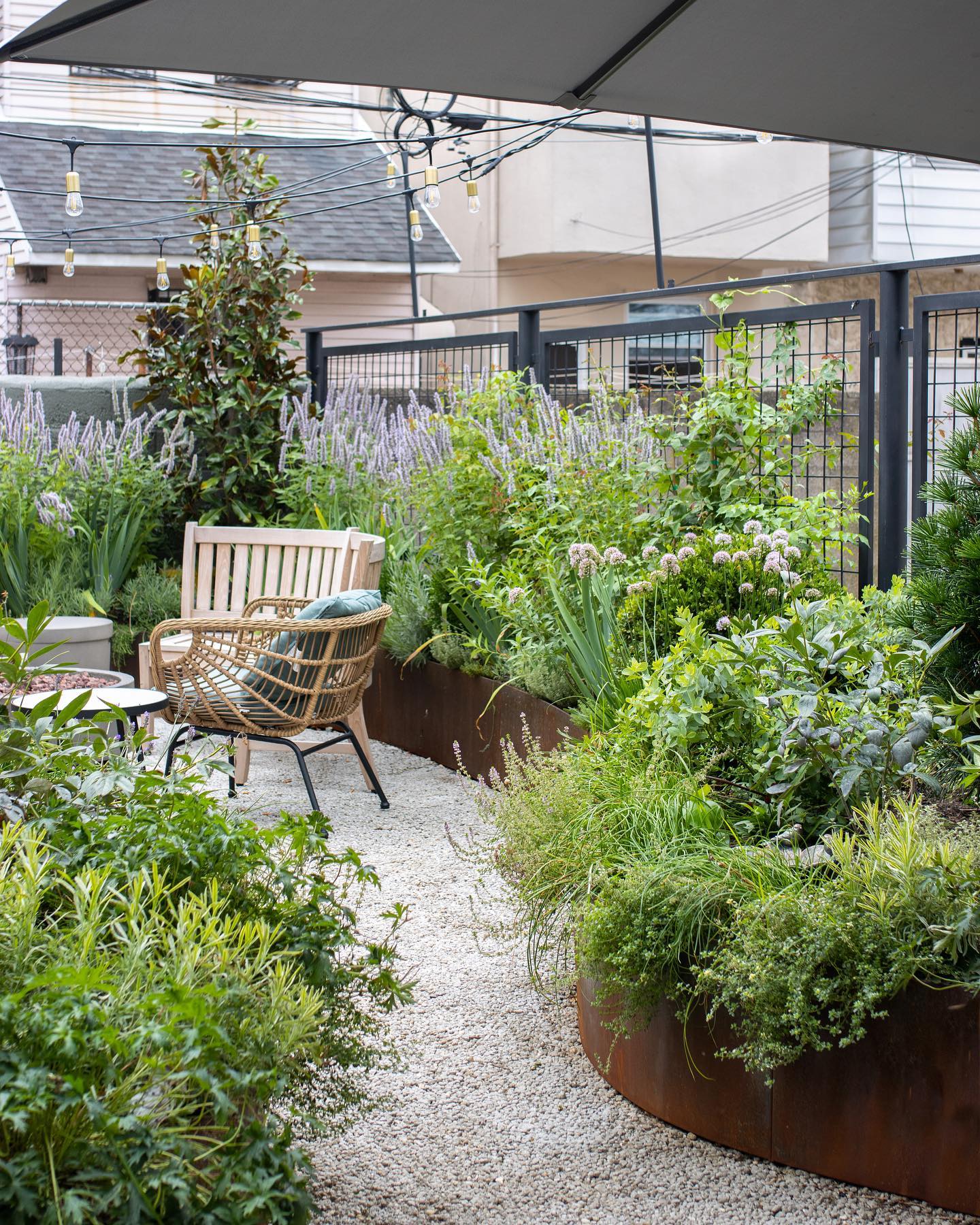 dense foliage with urban backdrop