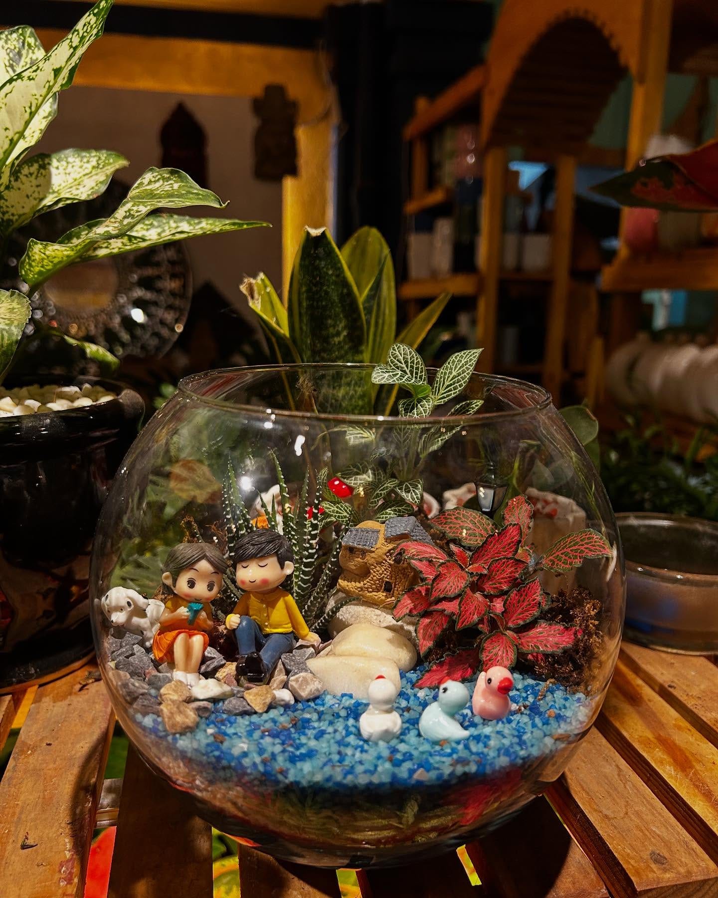 hutch with glass terrariums