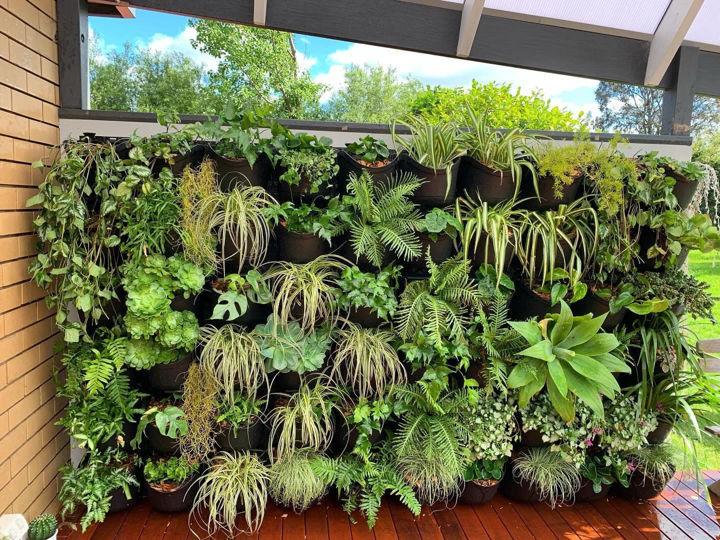 lush vertical garden on reclaimed wood
