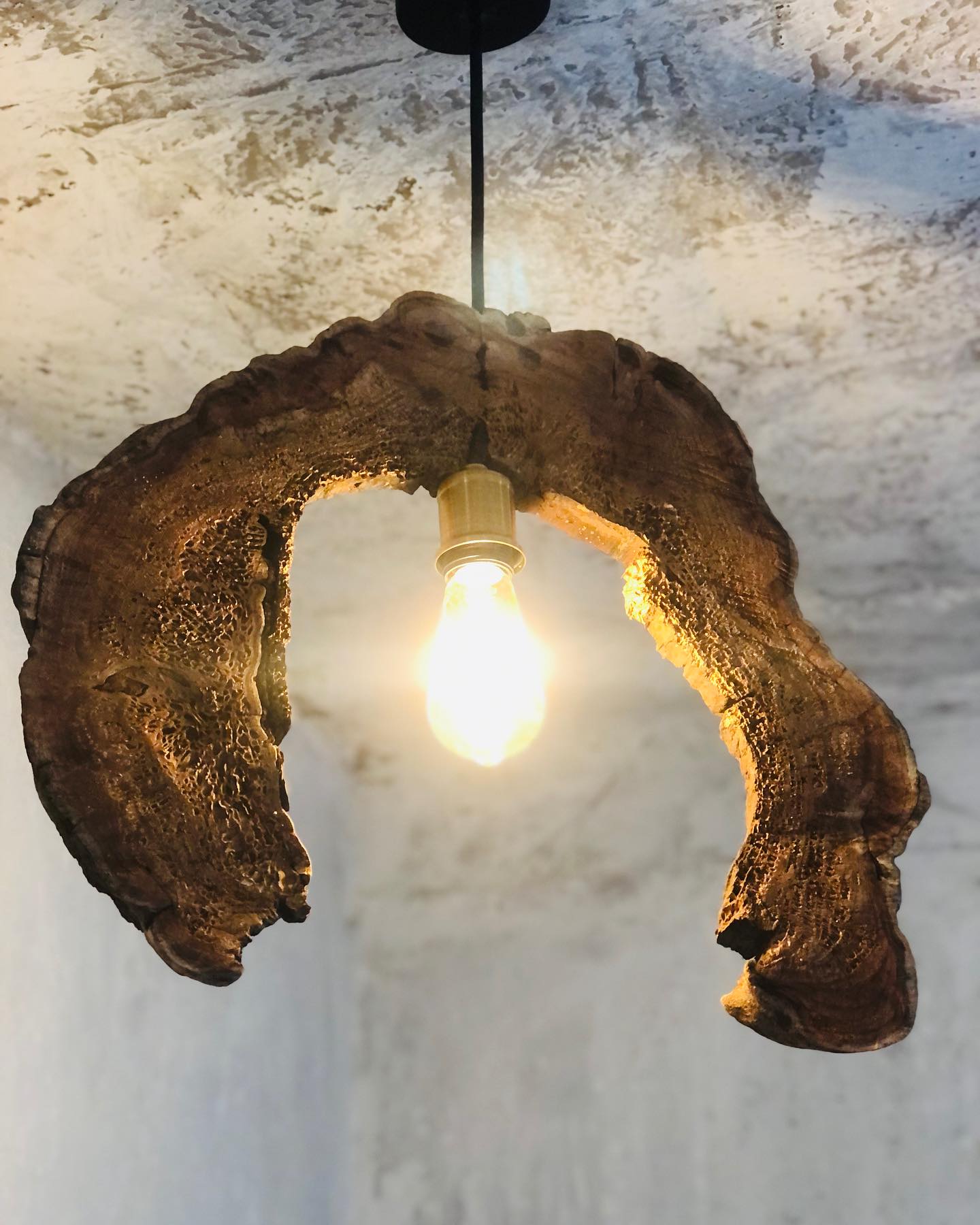 hollowed log light fixture with bulbs