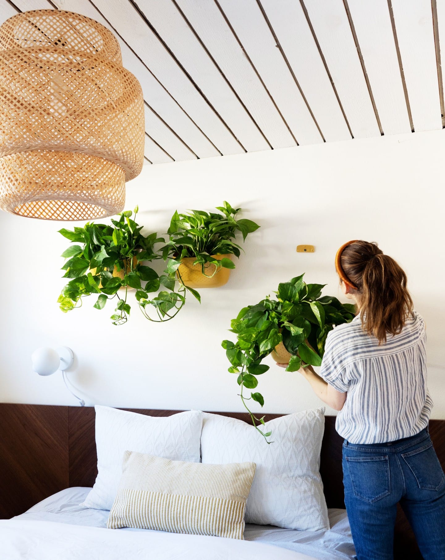 plant cuttings in ceramic wall pockets