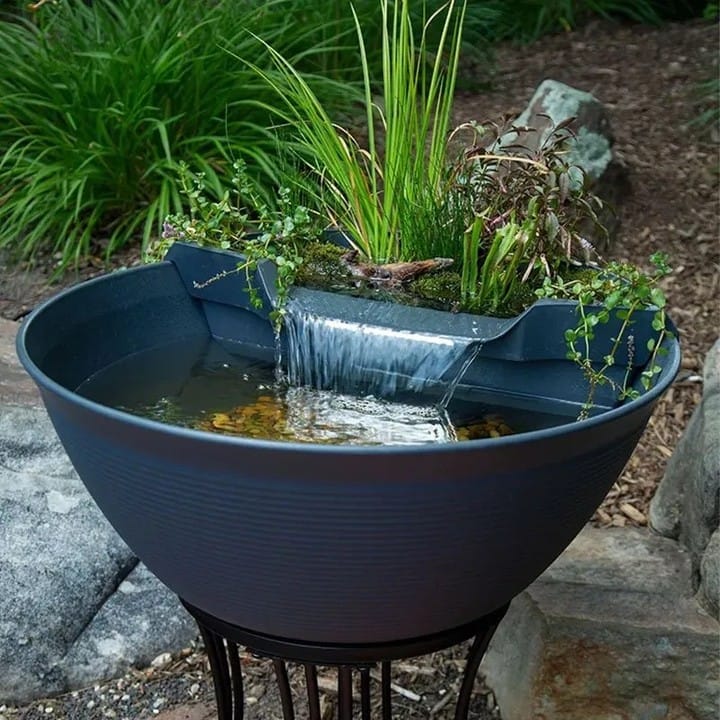 toolbox with aquatic plants