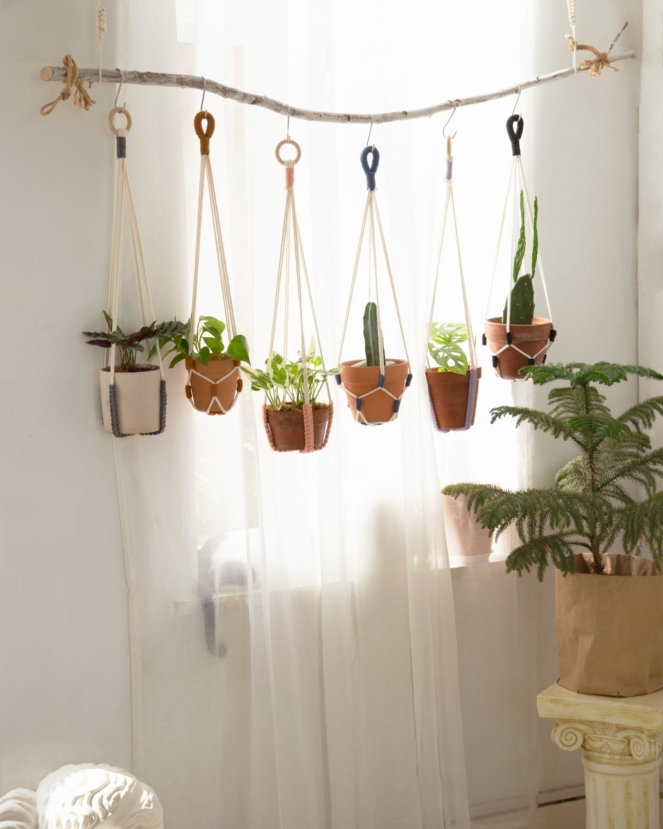 bohemian macrame plant hangers