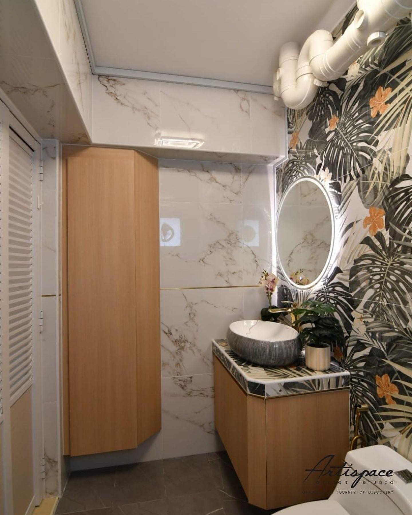 bathroom mirror with hanging plants