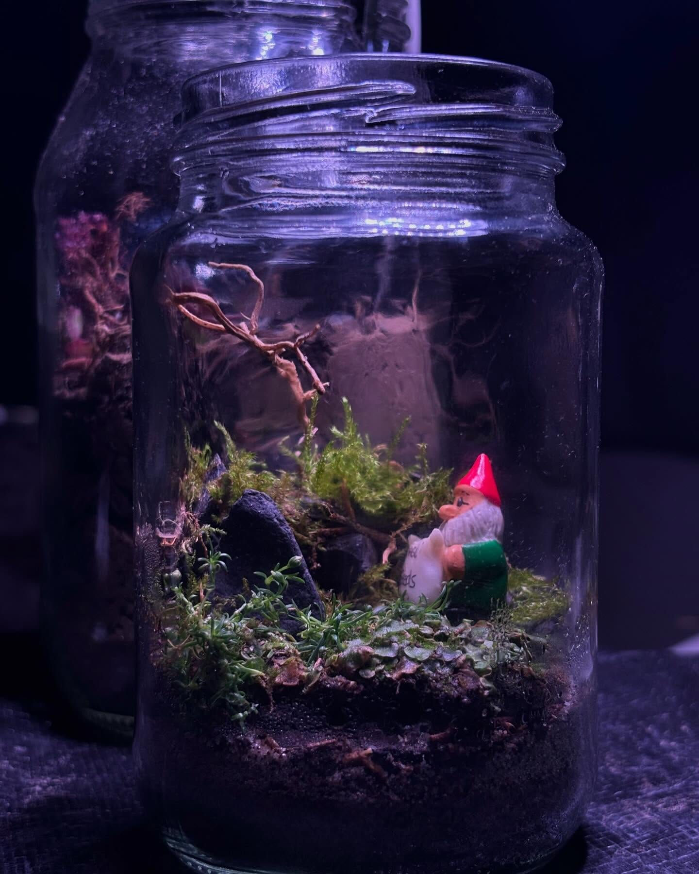 terrarium light with moss accents