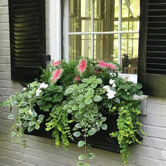 window box with small mirror insert