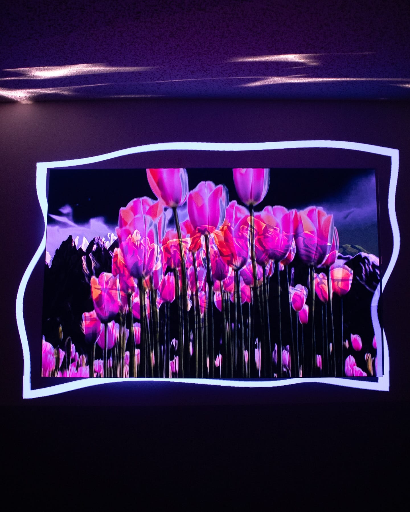 light projection on building