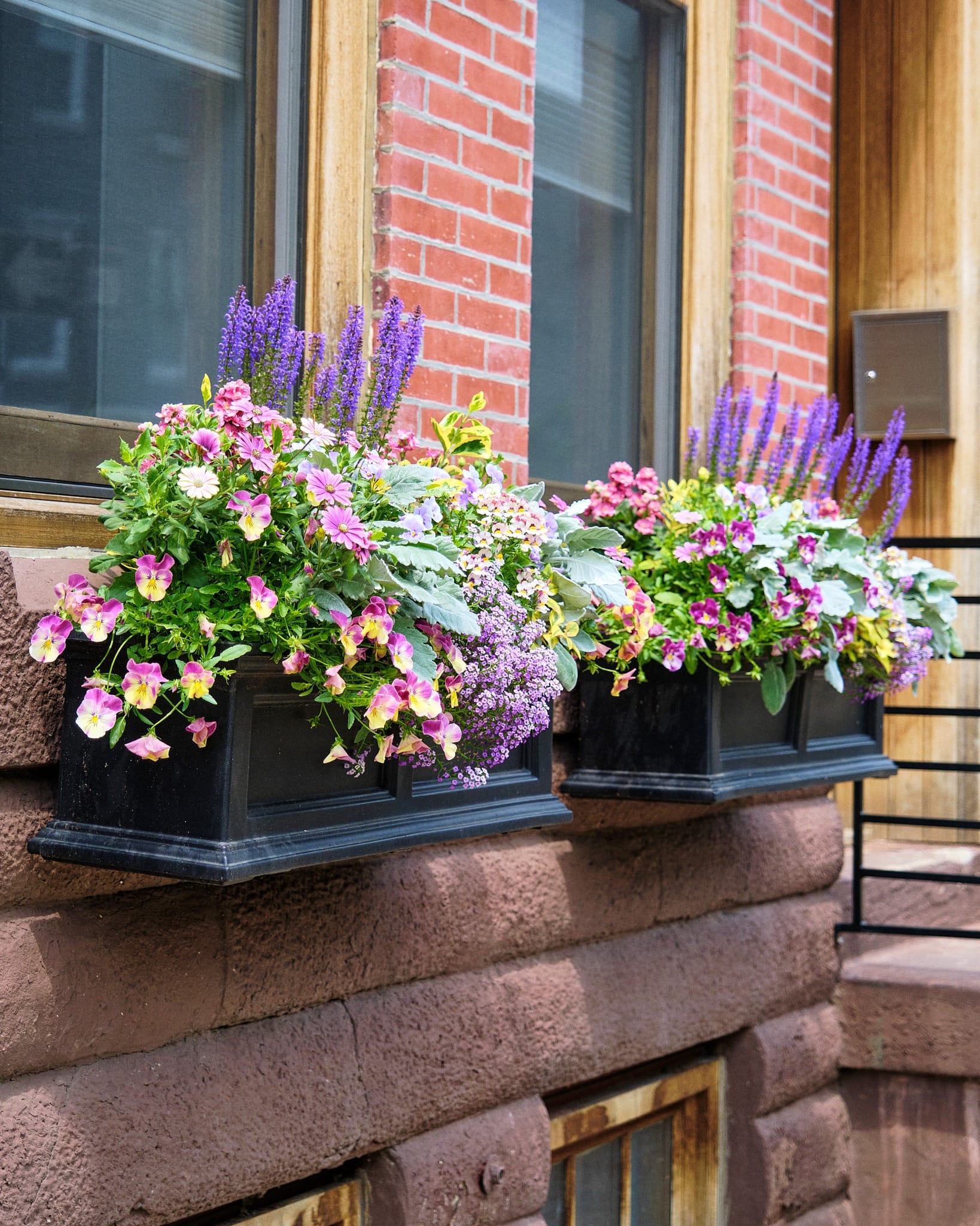eco-friendly plant arrangement in bay window