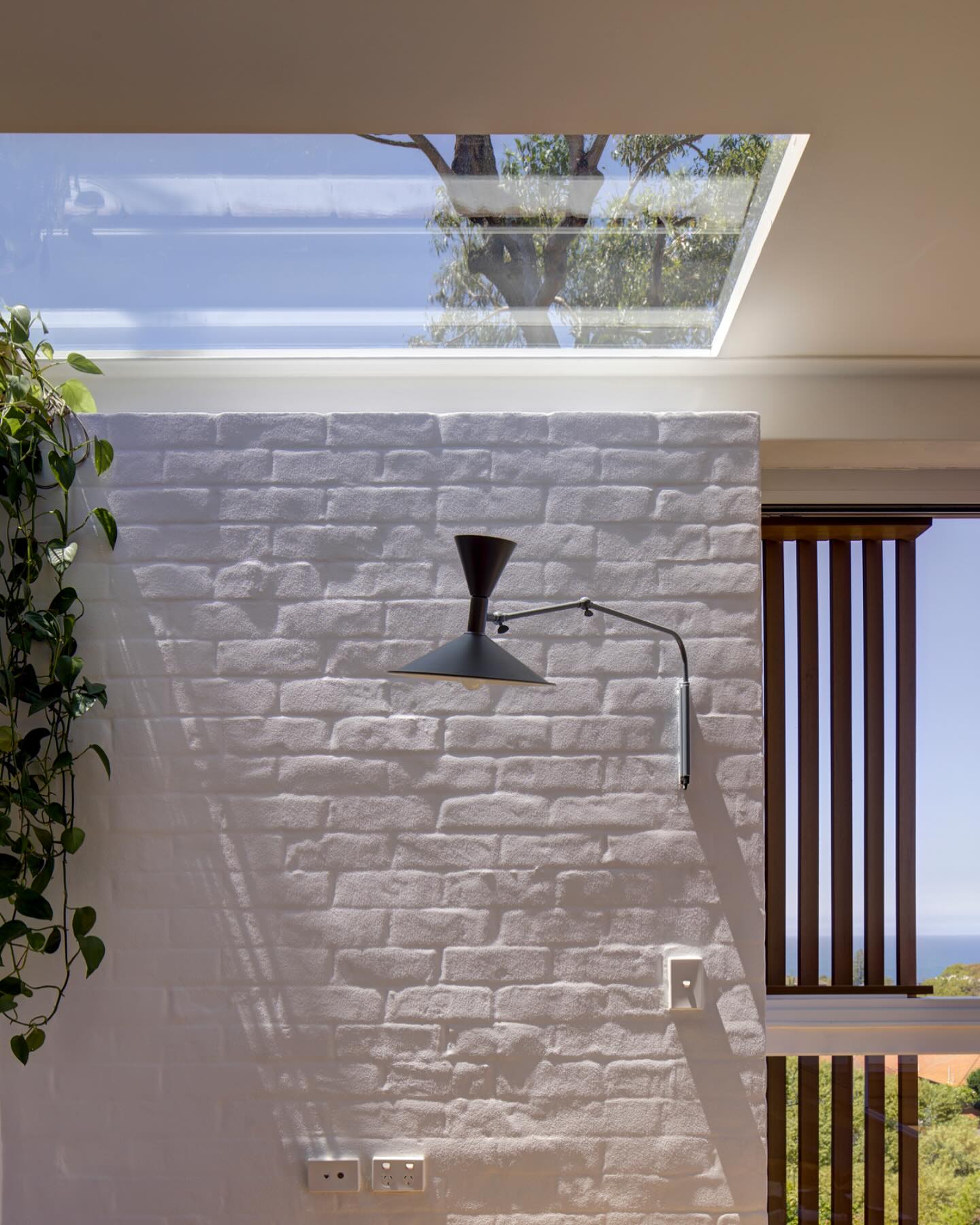 skylight with tree shadow
